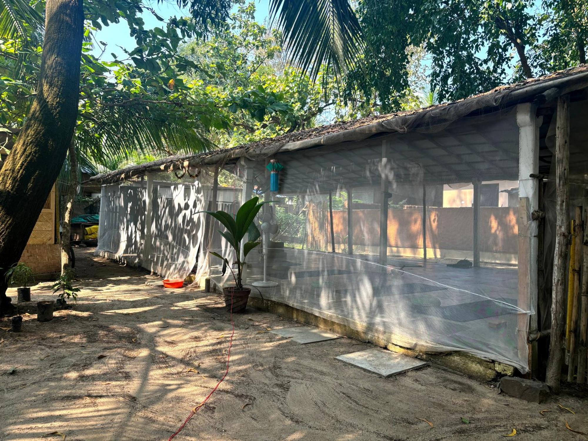 Ruban Yoga Hotel Palolem Exterior foto